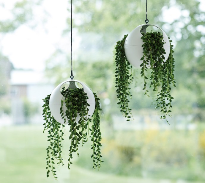 elho b.for soft air amppelit