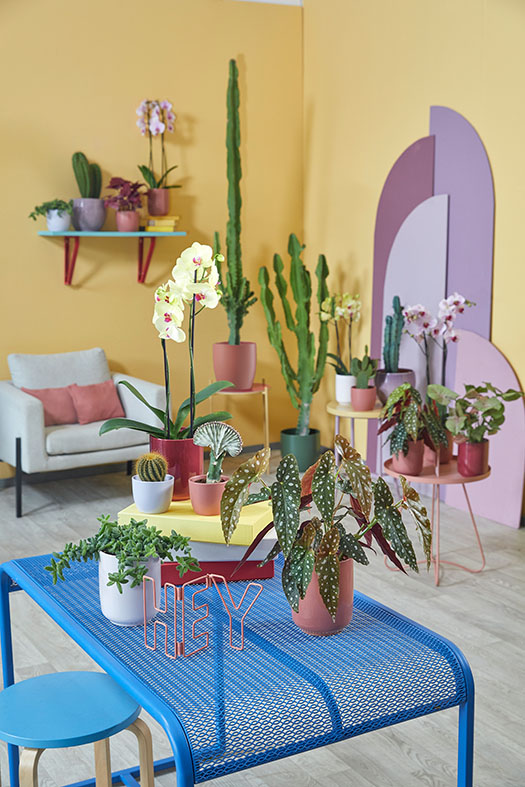 Bild memories_of_summer_low_resolution