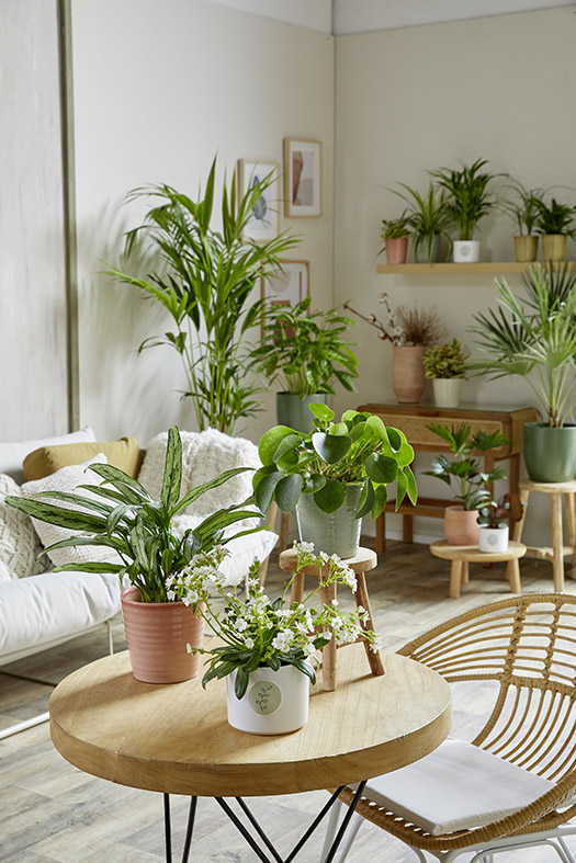 Bild sense_of_harmony_low_resolution